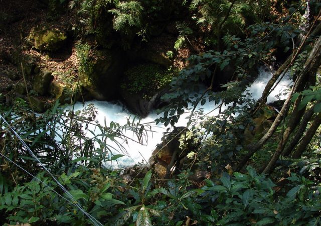 Pensamientos a la orilla del Vergel