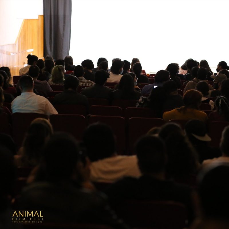 Animal Film Fest