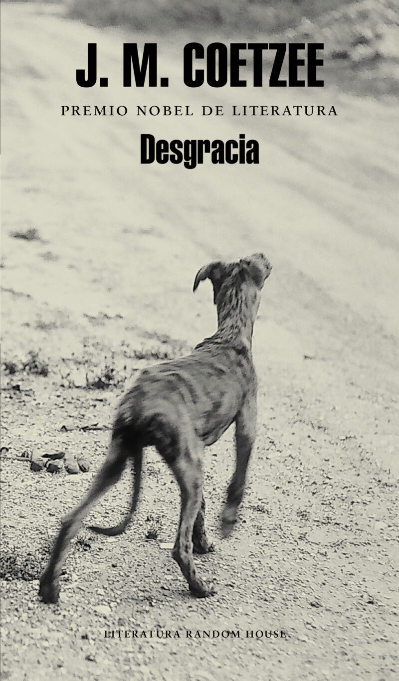 Desgracia