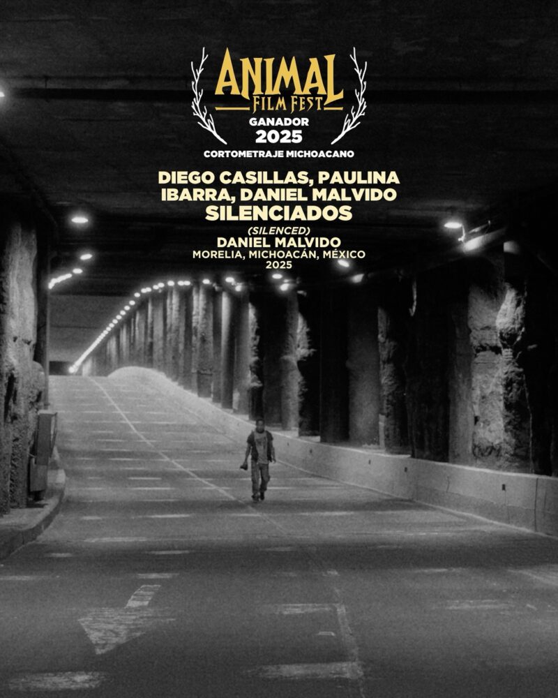 Animal Film Fest