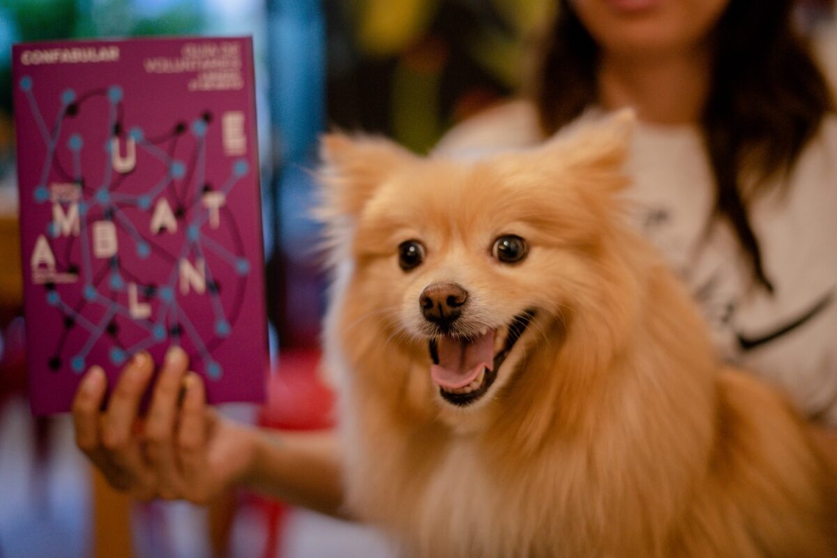 Ambulante Michoacán
