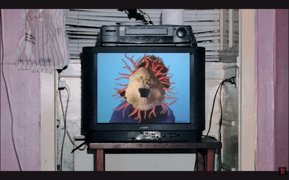 Web. Biblioteca Maldita